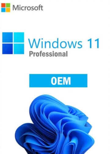 Windows 11 Professional Global